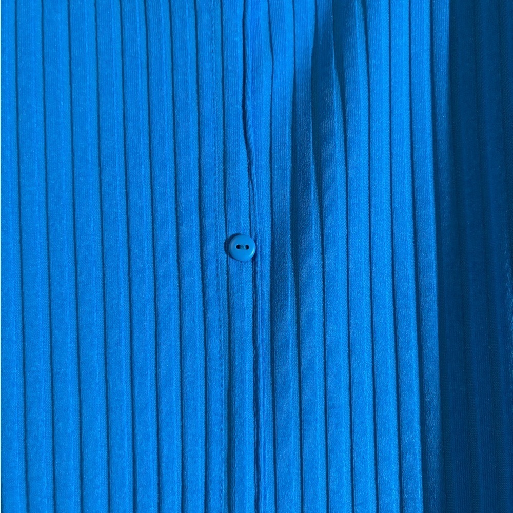 Zara Blue Ruffled Sleeve Dress - Picture 3 of 4